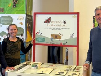 Interaktive Ausstellung bringt Insektenvielfalt in die Mainzer Innenstadt