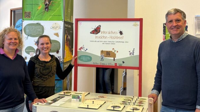 Interaktive Ausstellung bringt Insektenvielfalt in die Mainzer Innenstadt