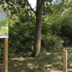 Nisthilfen in Mainz-Mombach: Parcours macht Unterschlupfangebote für Vögel, Fledermäuse und Bilche sichtbar