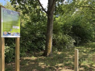 Nisthilfen in Mainz-Mombach: Parcours macht Unterschlupfangebote für Vögel, Fledermäuse und Bilche sichtbar