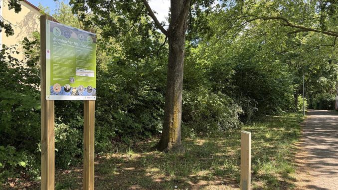 Nisthilfen in Mainz-Mombach: Parcours macht Unterschlupfangebote für Vögel, Fledermäuse und Bilche sichtbar