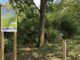 Nisthilfen in Mainz-Mombach: Parcours macht Unterschlupfangebote für Vögel, Fledermäuse und Bilche sichtbar
