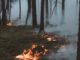 Waldbrandstufe 4: Grillen auf öffentlichen Plätzen nun landesweit verboten