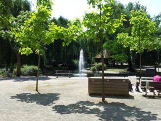 Weiher im Martin Luther Park wird vor Saisonstart abgelassen und gereinigt