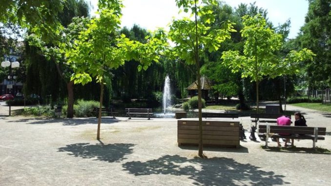 Weiher im Martin Luther Park wird vor Saisonstart abgelassen und gereinigt