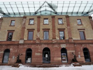 Zertifizierte Nordmanntannen aus dem Stadtwald: Verkauf am 13. Dezember beim Jagdschloss Platte