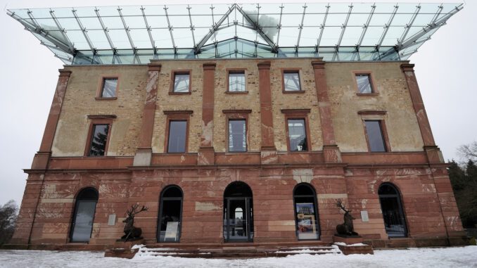 Zertifizierte Nordmanntannen aus dem Stadtwald: Verkauf am 13. Dezember beim Jagdschloss Platte Zertifizierte Nordmanntannen aus dem Stadtwald: Verkauf am 13. Dezember beim Jagdschloss Platte